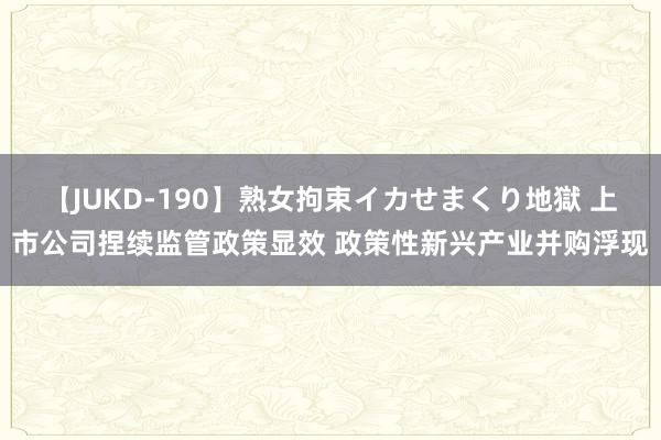 【JUKD-190】熟女拘束イカせまくり地獄 上市公司捏续监管政策显效 政策性新兴产业并购浮现