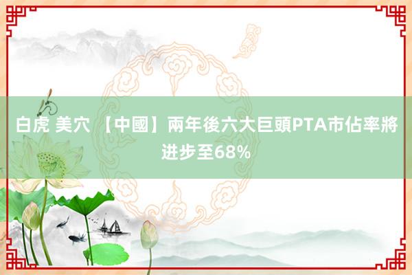 白虎 美穴 【中國】兩年後六大巨頭PTA市佔率將进步至68%